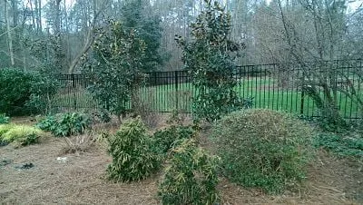 Professional yard maintenance experts serving Monroe, NC - Southern Landscape Company