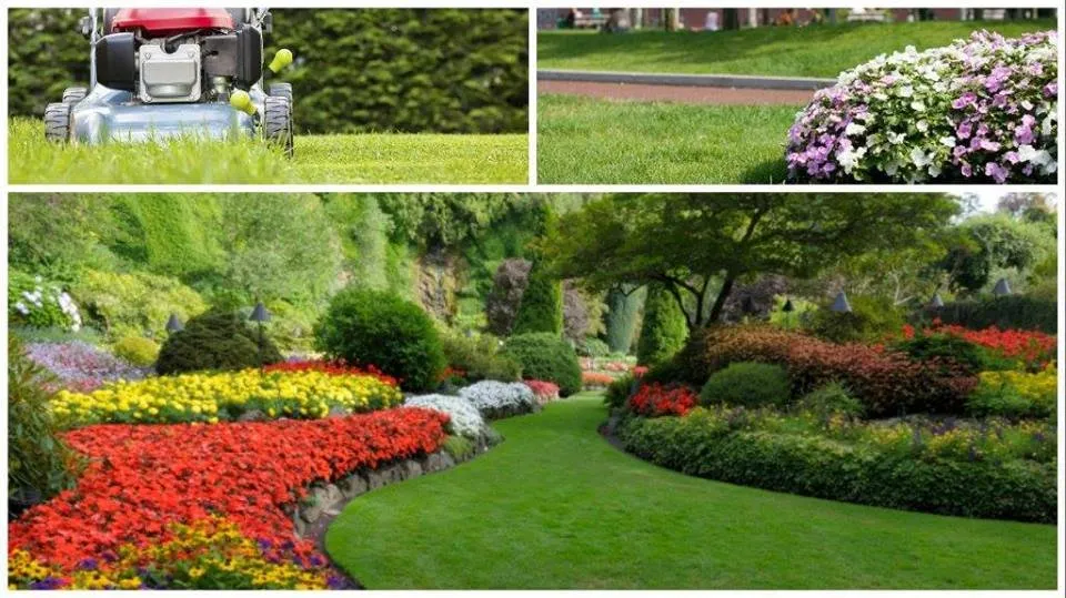 Professional garden landscaping for outdoor upgrades across Hudson, FL - Southern Landscape Images