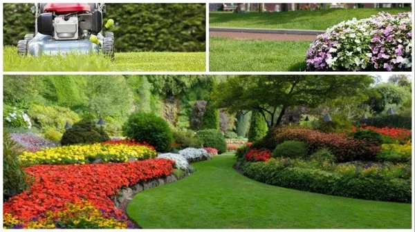 Southern Landscape Images Logo