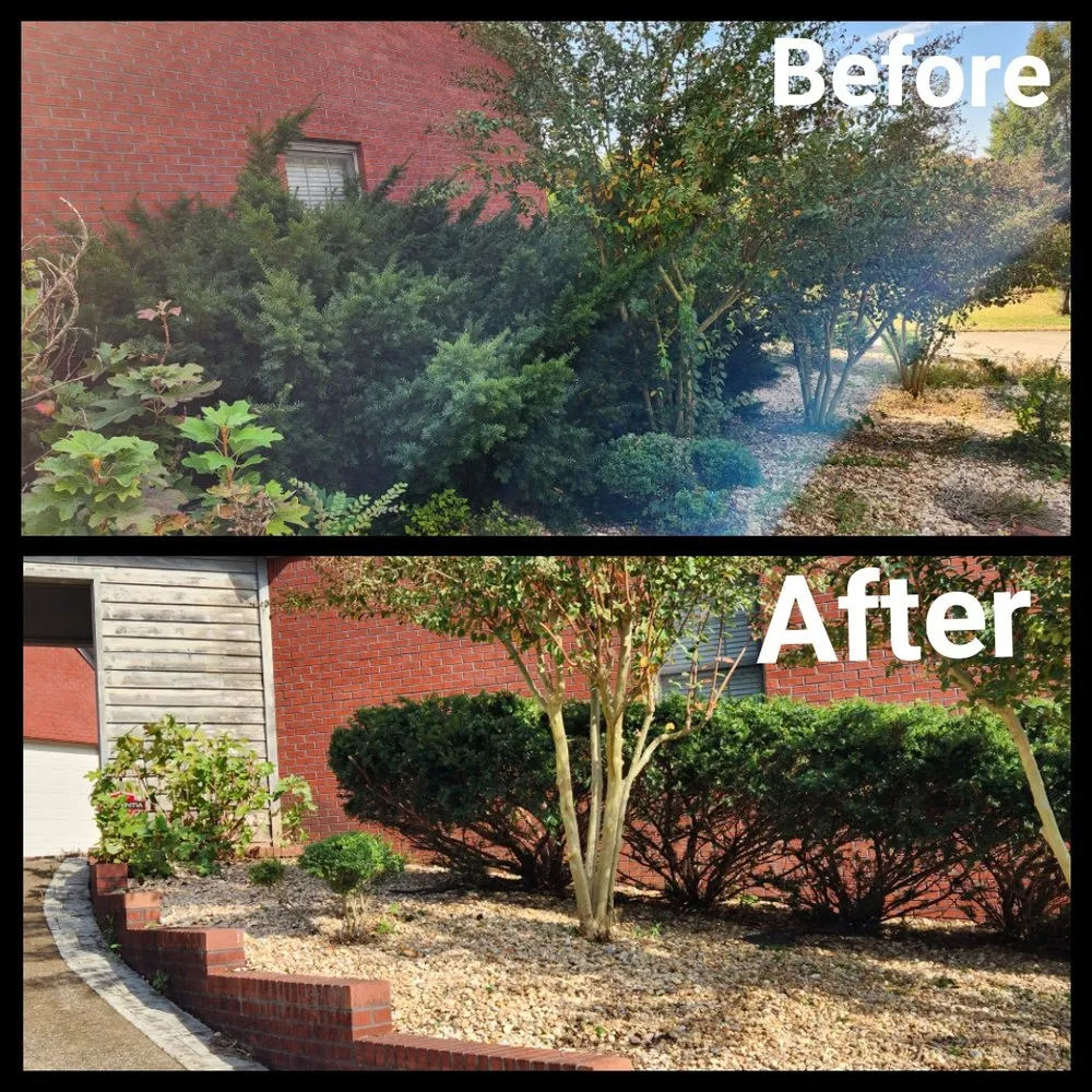 Top-rated residential landscaping experts serving Primm Springs, TN - Southern Landscape Maintenance
