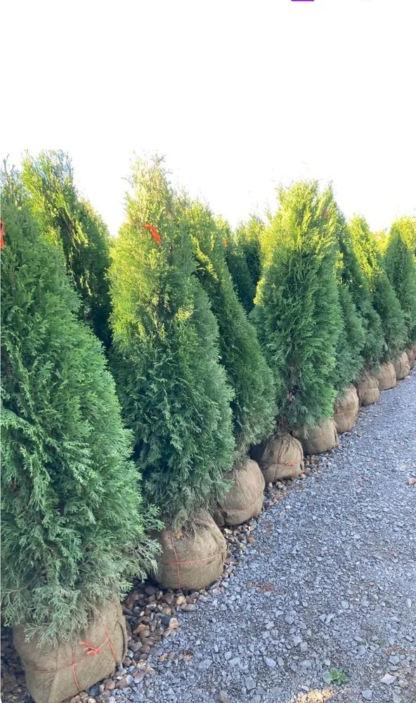 Affordable yard maintenance in Primm Springs, TN - Southern Landscape Maintenance