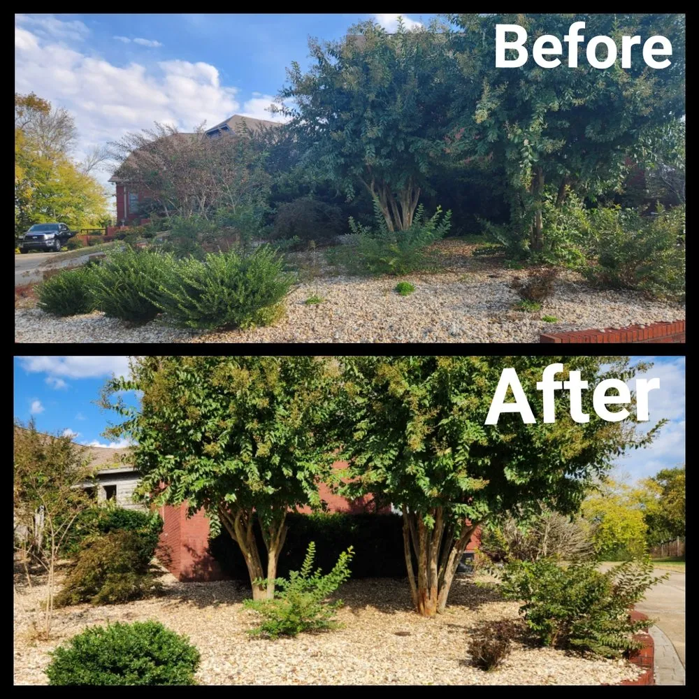 Top-rated yard cleanup service in Primm Springs, TN - Southern Landscape Maintenance