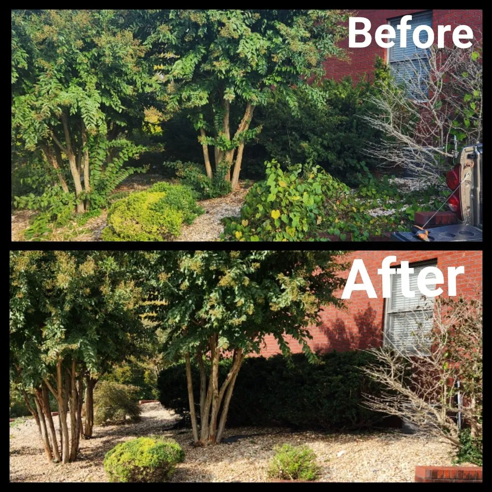 Local yard maintenance for beautiful yards in Primm Springs, TN by Southern Landscape Maintenance