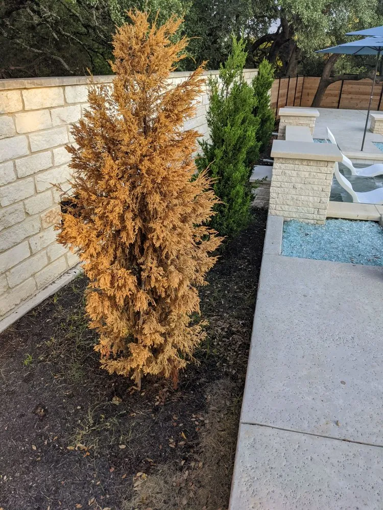 Trusted garden landscaping in Leander, TX - Southern Landscape Solutions Inc