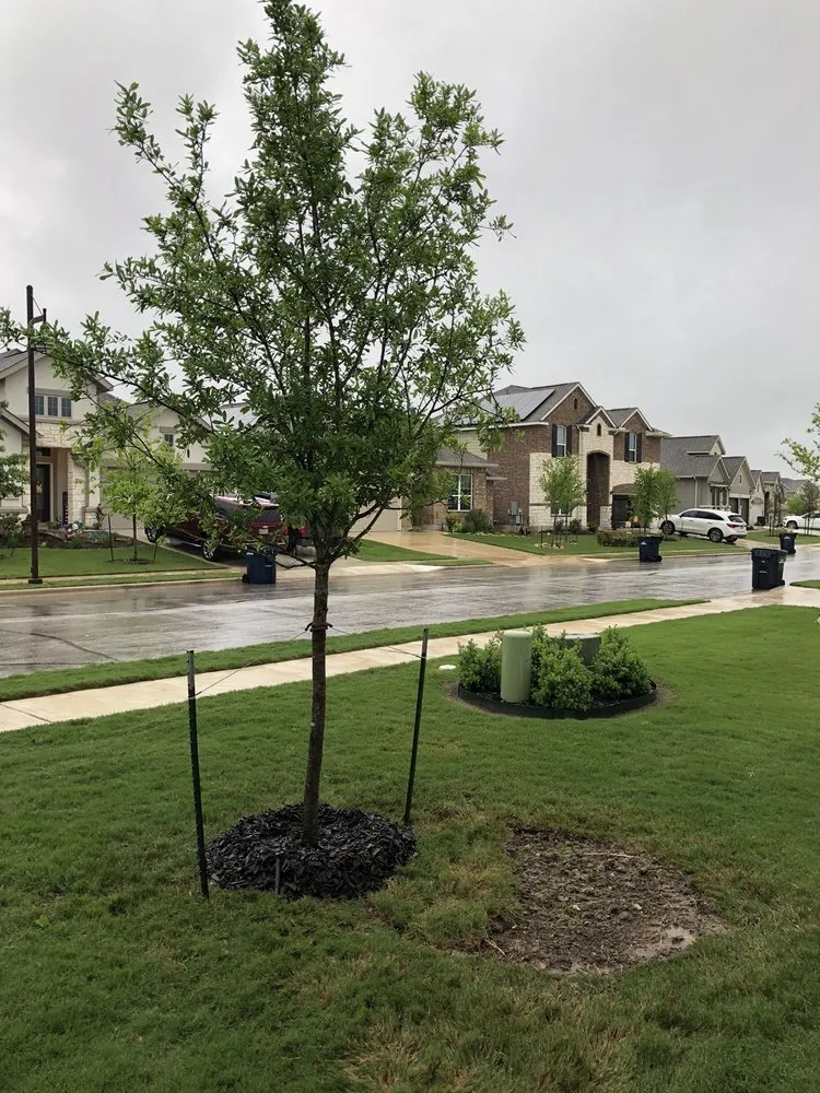 Trusted outdoor landscaping in Leander, TX - Southern Landscape Solutions Inc