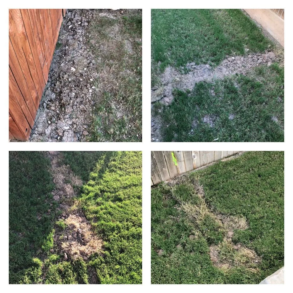 Professional yard cleanup service near you in Leander, TX by Southern Landscape Solutions Inc
