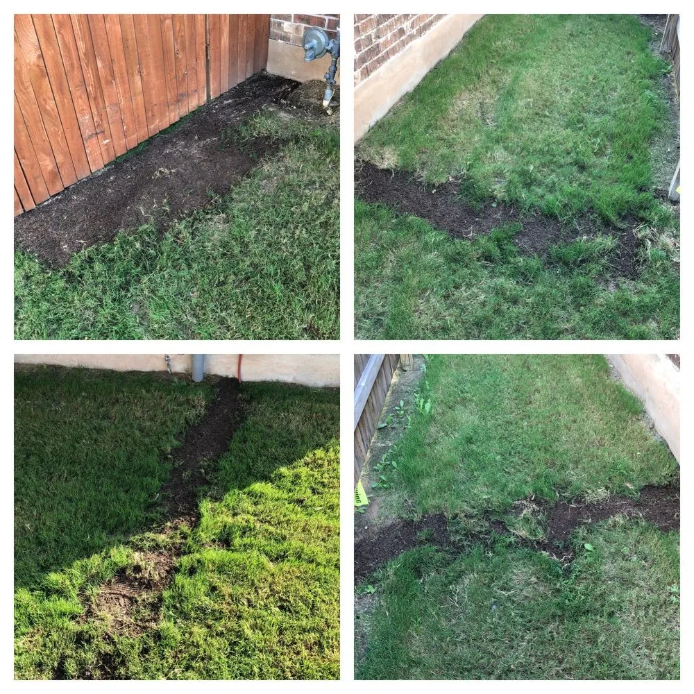 Local landscape installation for residential properties across Leander, TX - Southern Landscape Solutions Inc