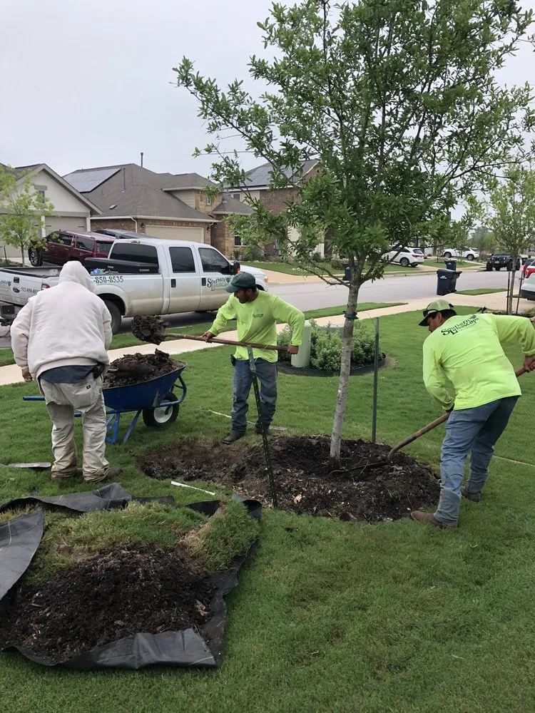 Trusted lawn care service for homes across Leander, TX - Southern Landscape Solutions Inc