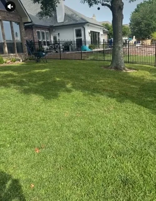 Top-rated lawn care service experts serving Baton Rouge, LA - Southern Landscape Supply