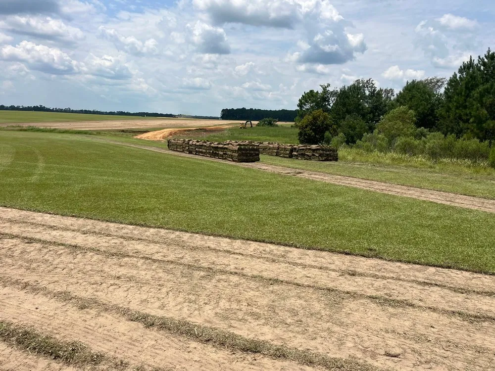 Professional outdoor landscaping in Baton Rouge, LA by Southern Landscape Supply