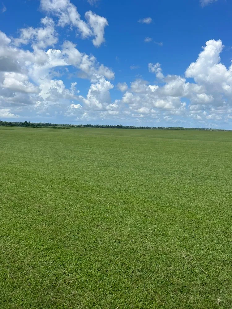 Affordable landscaping services for year-round maintenance in Baton Rouge, LA by Southern Landscape Supply