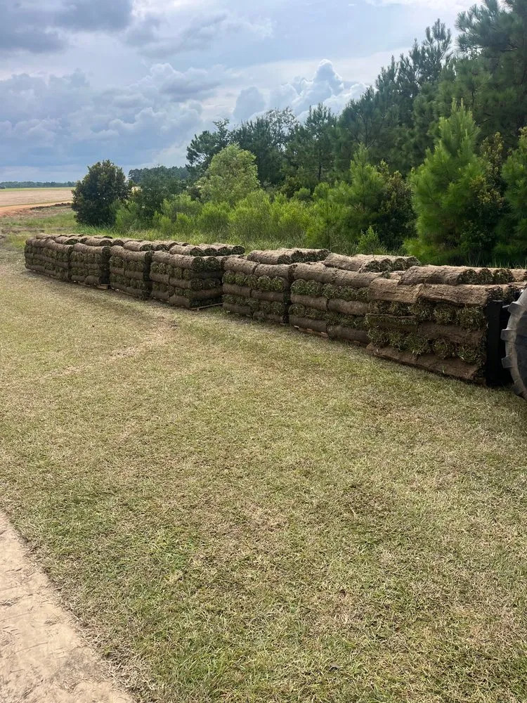Affordable yard maintenance in Baton Rouge, LA by Southern Landscape Supply