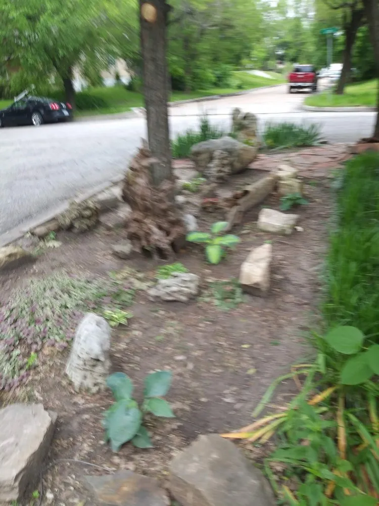 Professional yard cleanup service for homes across Wichita, KS - Southern Landscape