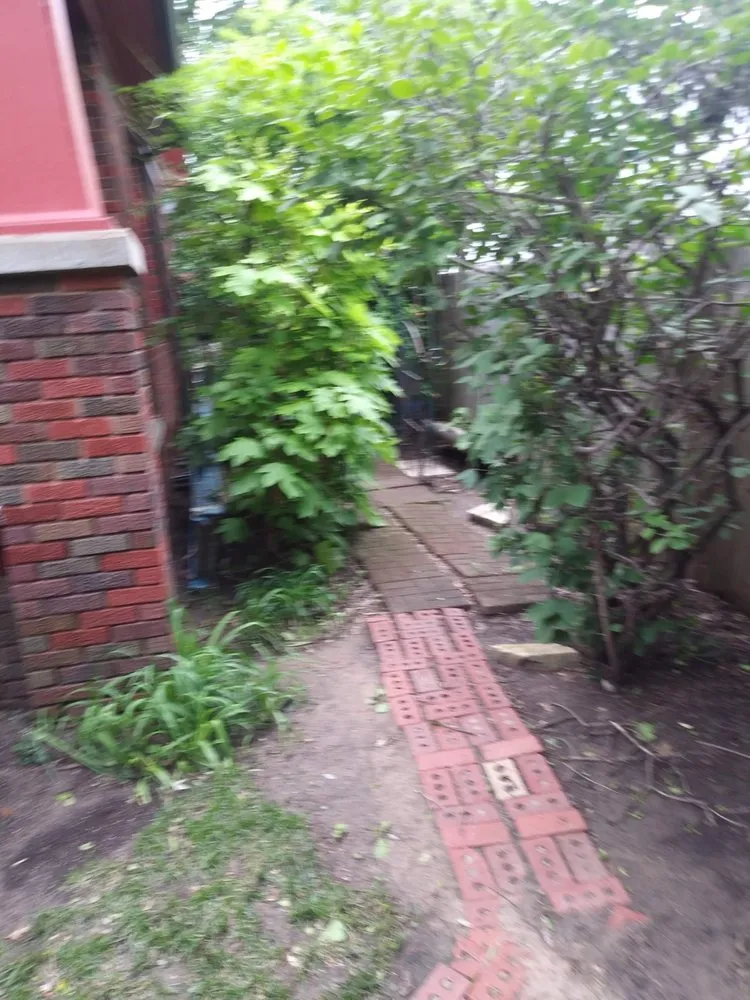 Custom lawn care service for outdoor upgrades in Wichita, KS by Southern Landscape