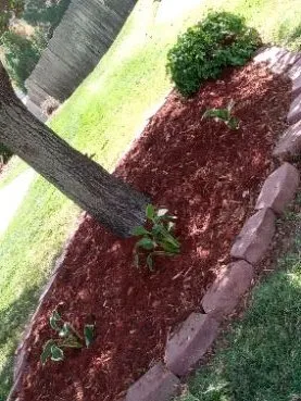 Trusted outdoor landscaping for homes across Wichita, KS - Southern Landscape