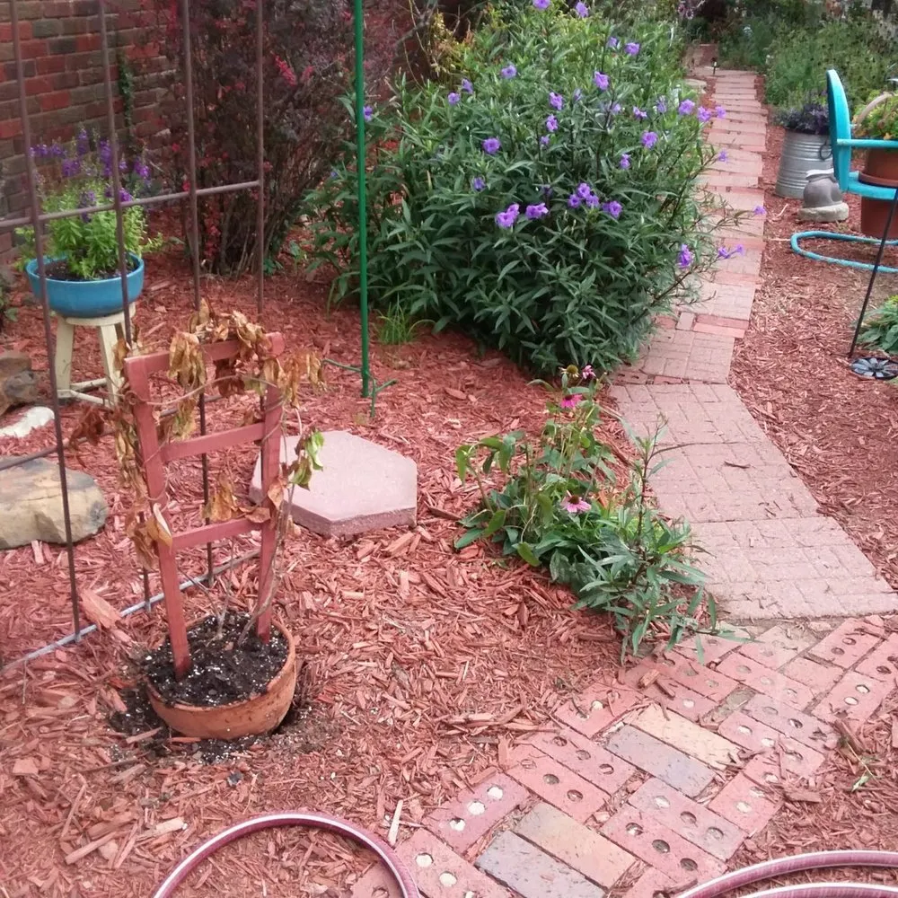 Expert lawn mowing service in Wichita, KS by Southern Landscape