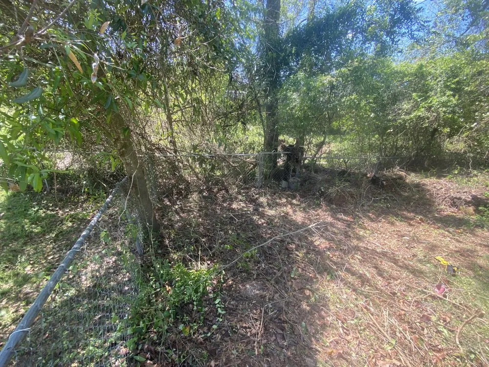 Trusted lawn care service experts serving Columbus, GA - Southern Landscapers