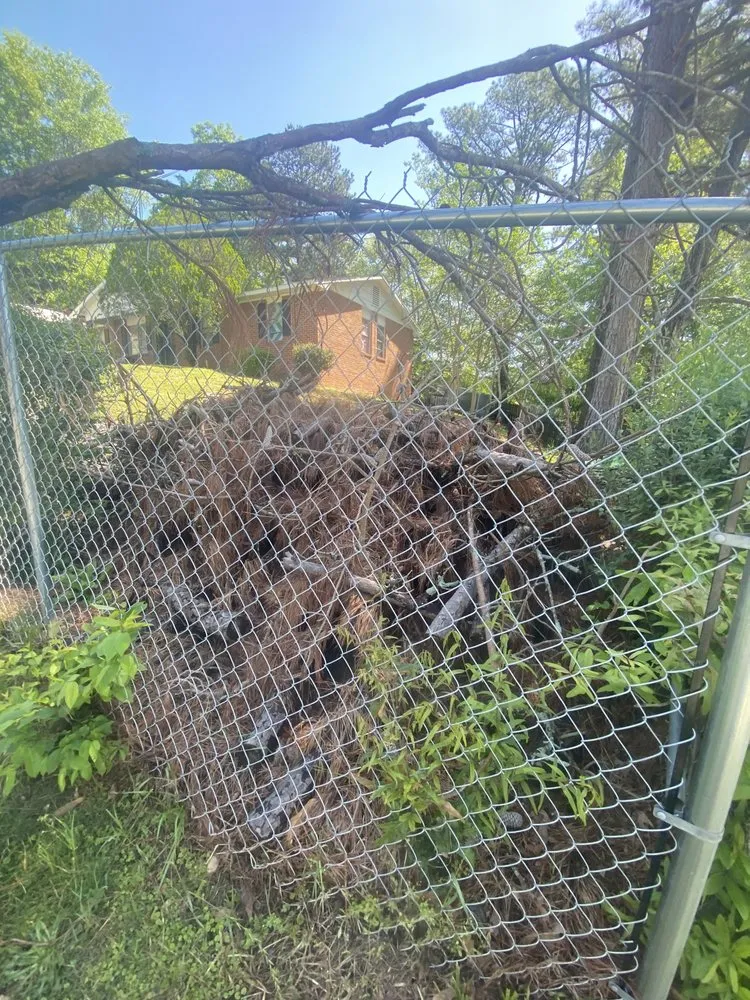 Professional landscape design in Columbus, GA by Southern Landscapers