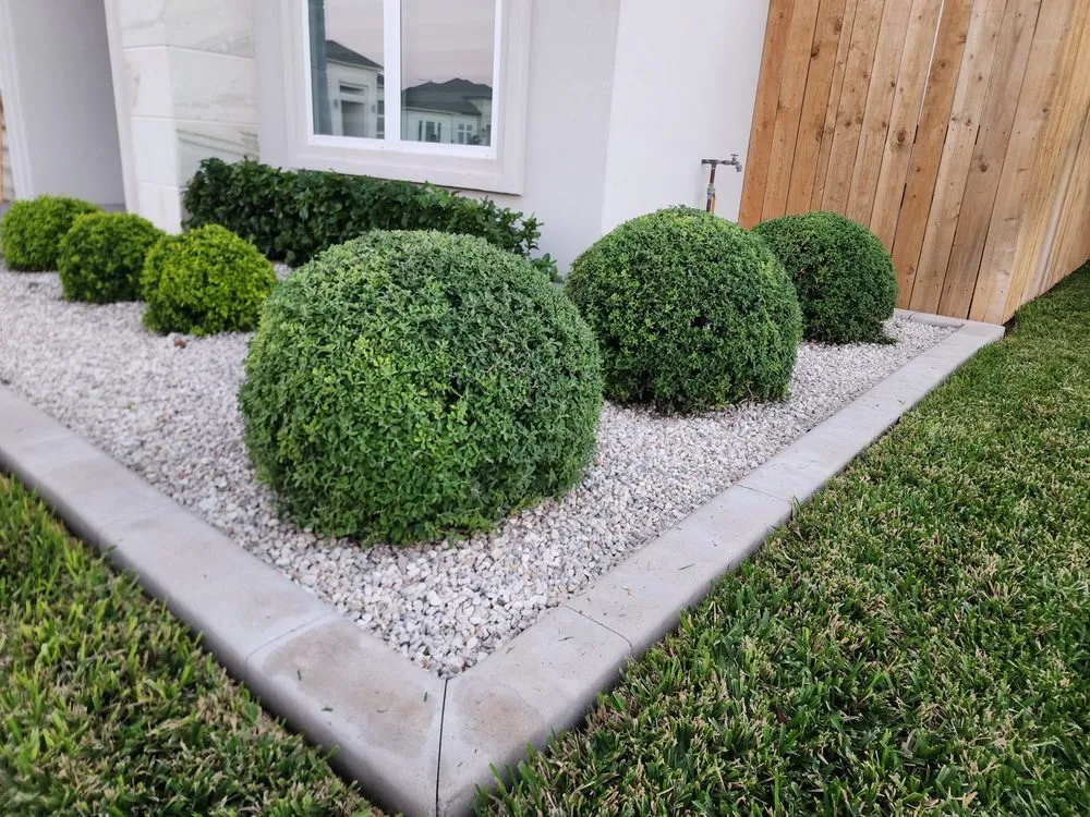 Reliable landscape installation near you in McAllen, TX by Southern Landscapers