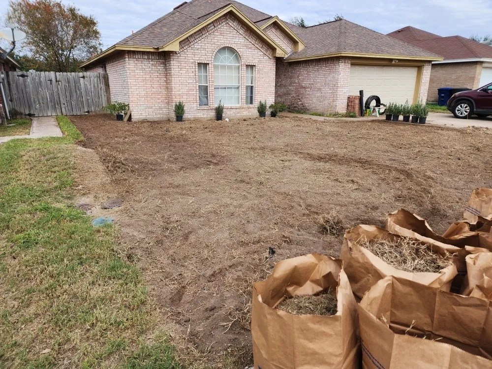 Professional yard maintenance for beautiful yards across McAllen, TX - Southern Landscapers