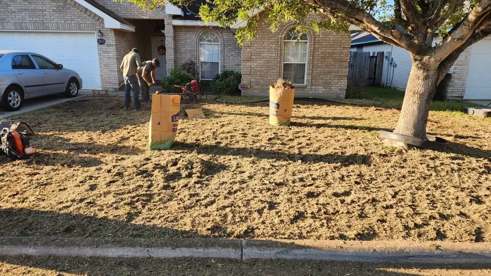 Top-rated garden landscaping for outdoor upgrades in McAllen, TX by Southern Landscapers