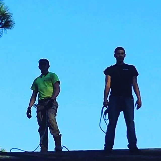 Professional residential landscaping for beautiful yards across Tifton, GA - Southern Landscapes