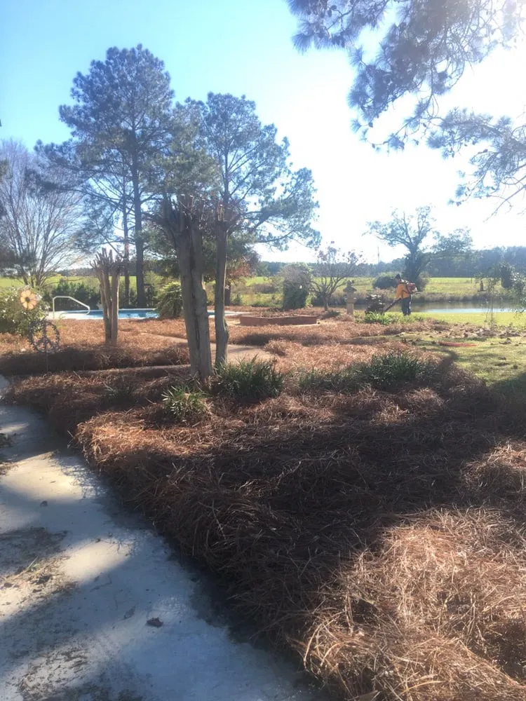 Top-rated landscape design experts serving Tifton, GA - Southern Landscapes