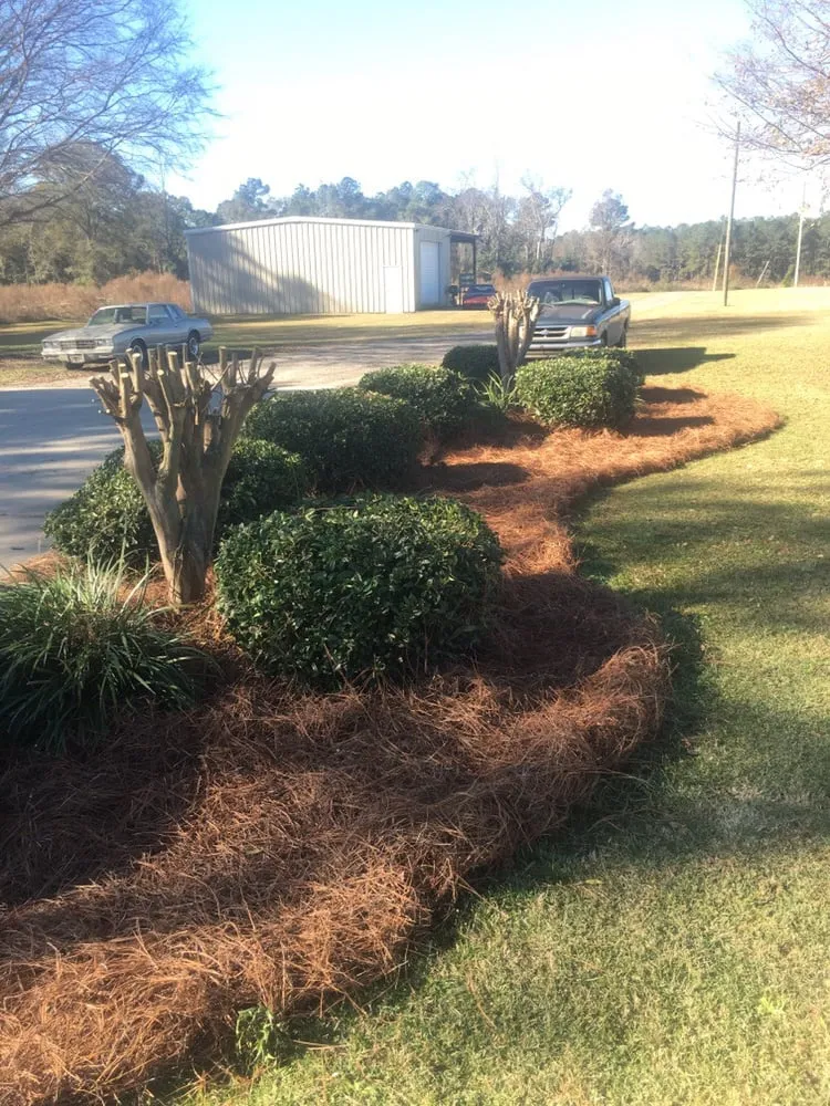 Professional landscape design in Tifton, GA by Southern Landscapes
