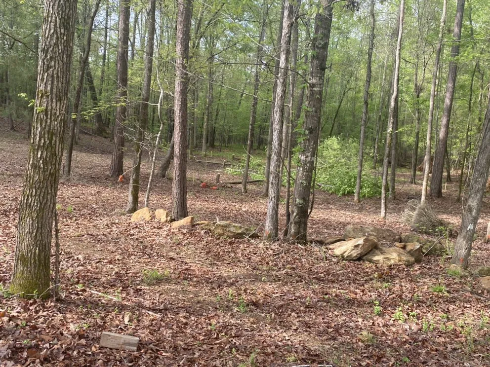 Local yard cleanup service with custom design across Milledgeville, GA - Southern Landscaping & Grading