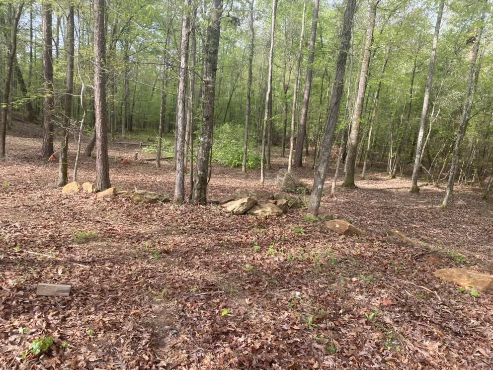 Custom landscape design in Milledgeville, GA by Southern Landscaping & Grading