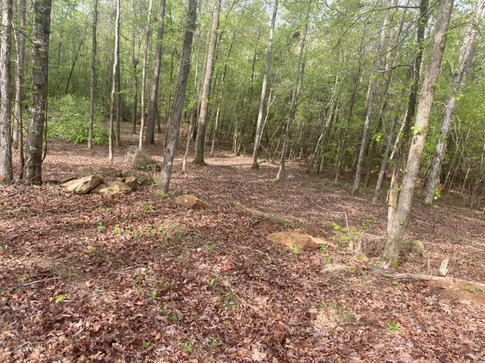 Professional landscaping services for residential properties in Milledgeville, GA by Southern Landscaping & Grading