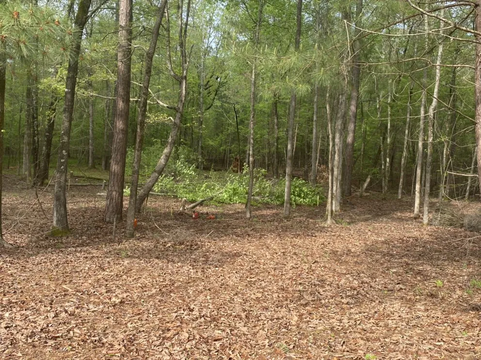 Expert lawn mowing service experts serving Milledgeville, GA - Southern Landscaping & Grading