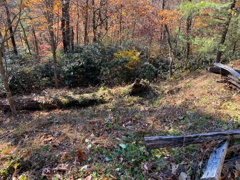 Professional residential landscaping in Lenoir, NC by Southern Landscaping & Land Clearing