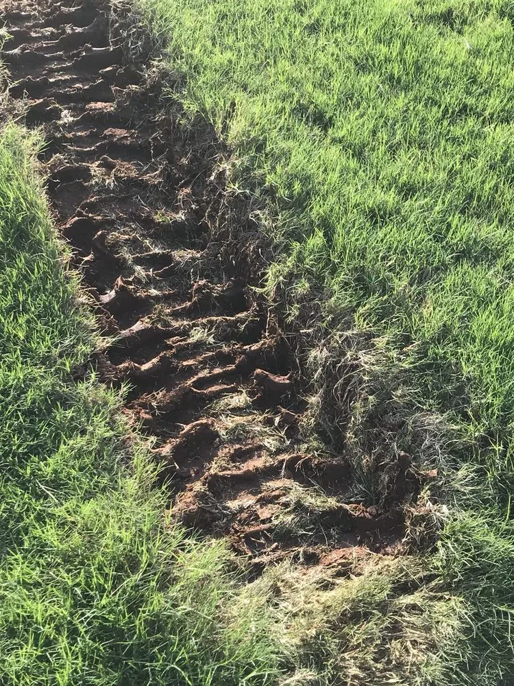 Trusted landscape design for residential properties in Madison, AL by Southern Landscaping & Lawn Maintenance