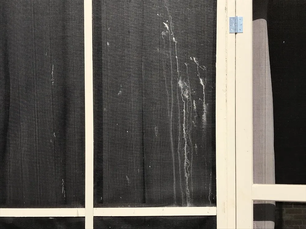 Trusted landscaping services in Madison, AL - Southern Landscaping & Lawn Maintenance