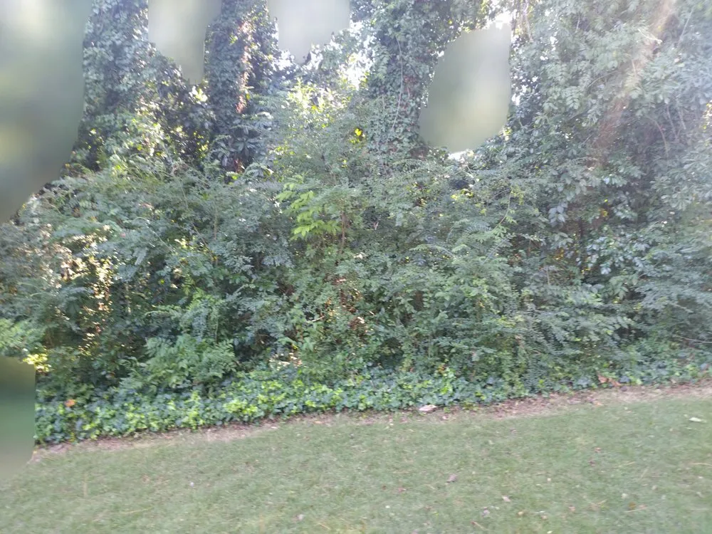 Local lawn mowing service for residential properties in Macon, GA by Southern Landscaping By Brandy