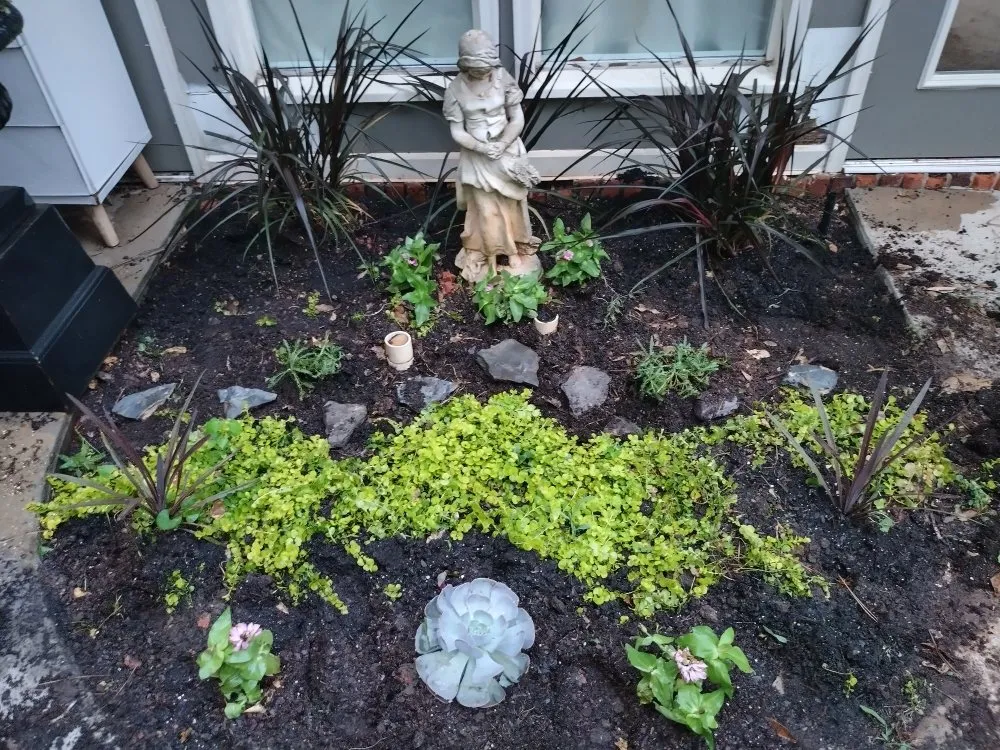 Top-rated residential landscaping experts serving Macon, GA - Southern Landscaping By Brandy