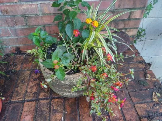 Southern Landscaping By Brandy Logo