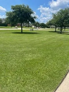 Trusted landscape installation with custom design in Montgomery, TX by Southern Landscaping