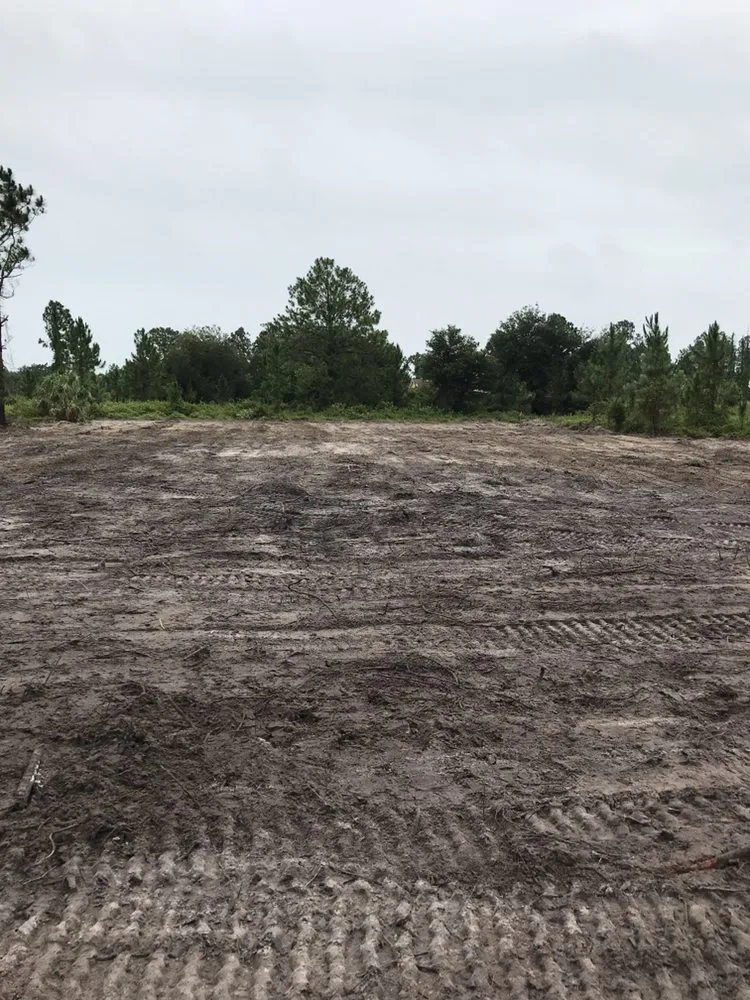 Professional garden landscaping in North Fort Myers, FL - Southern Landscaping