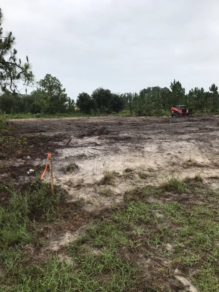 Custom yard maintenance experts serving North Fort Myers, FL - Southern Landscaping