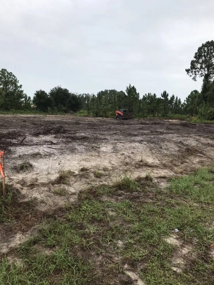 Affordable landscaping services experts serving North Fort Myers, FL - Southern Landscaping