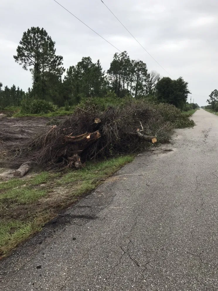 Trusted lawn mowing service in North Fort Myers, FL by Southern Landscaping