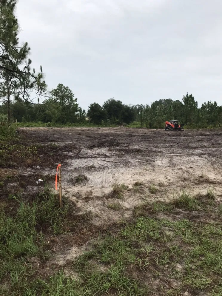 Expert yard maintenance near you across North Fort Myers, FL - Southern Landscaping