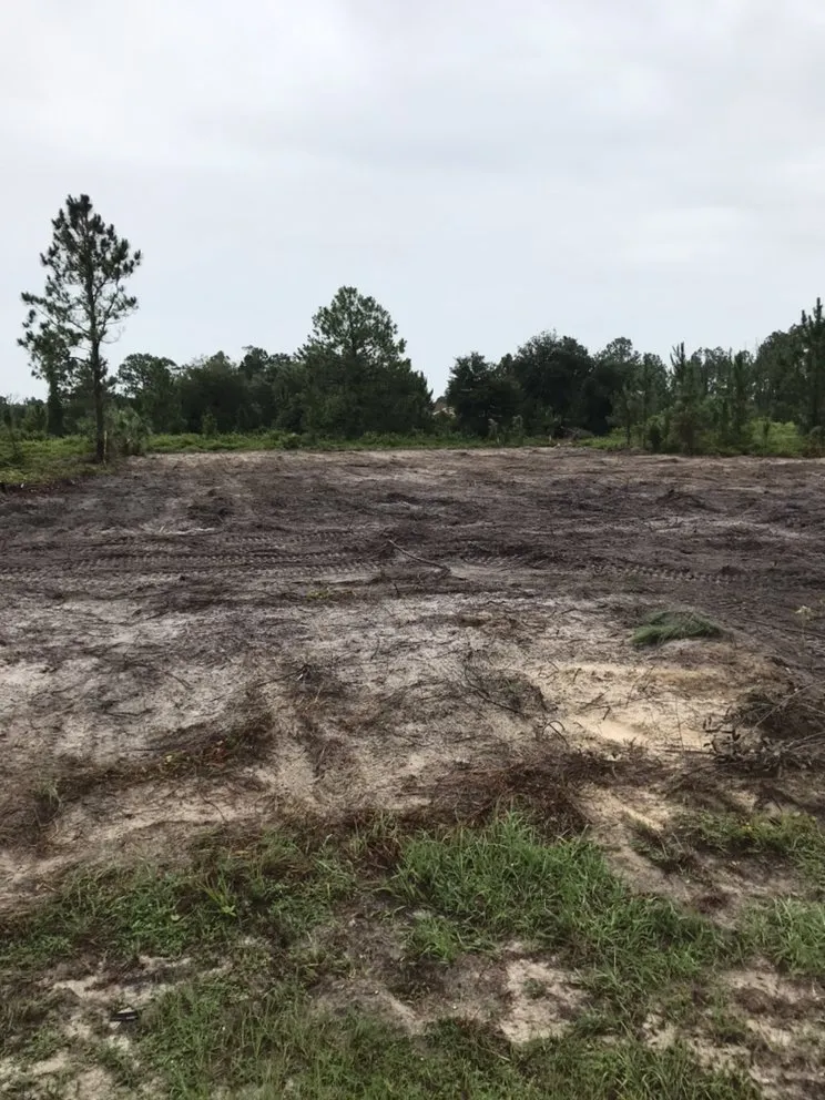 Affordable lawn care service in North Fort Myers, FL by Southern Landscaping