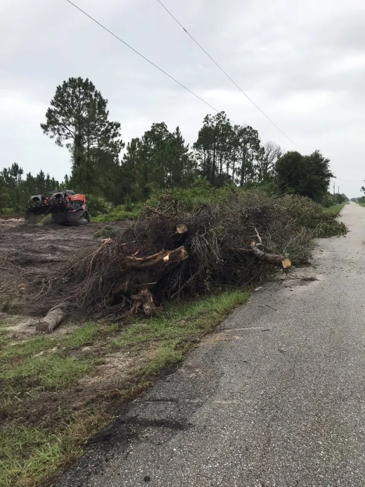 Trusted landscaping services for homes across North Fort Myers, FL - Southern Landscaping