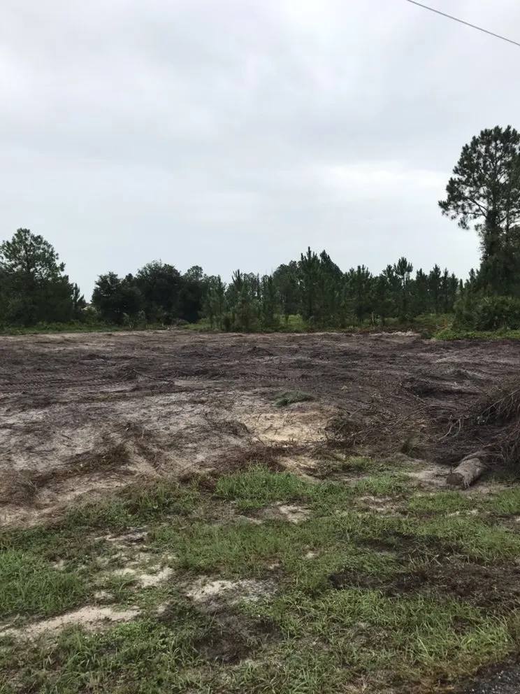 Affordable yard cleanup service for residential properties across North Fort Myers, FL - Southern Landscaping