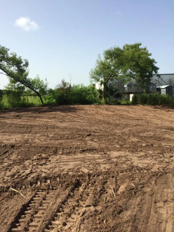 Reliable lawn mowing service in North Fort Myers, FL - Southern Landscaping