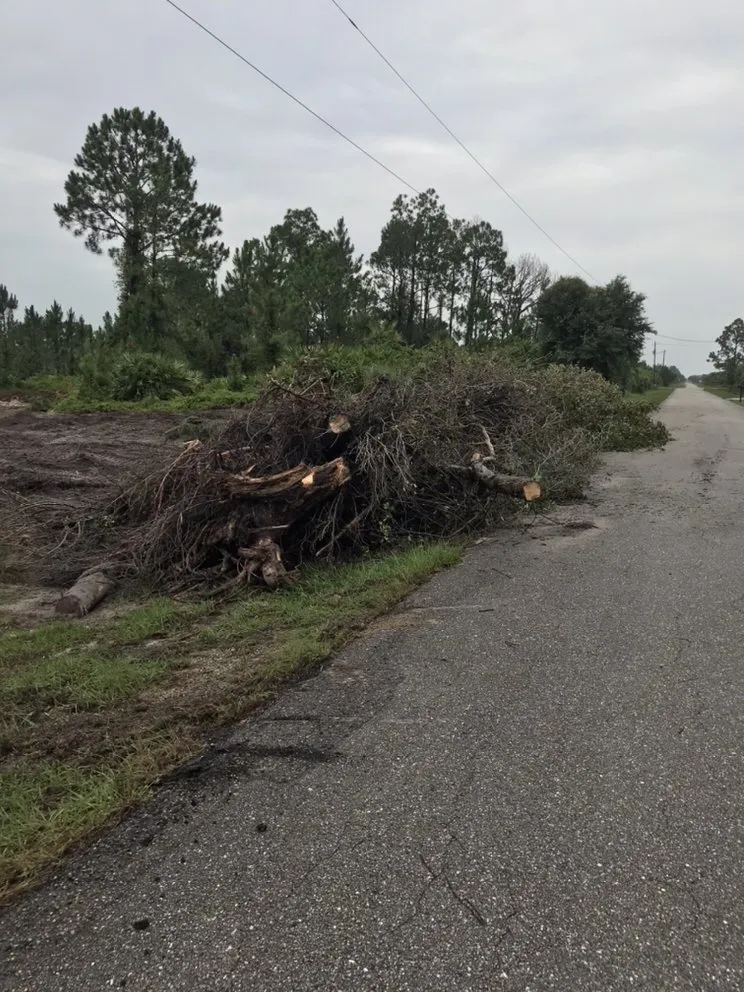 Reliable landscape design for residential properties in North Fort Myers, FL by Southern Landscaping