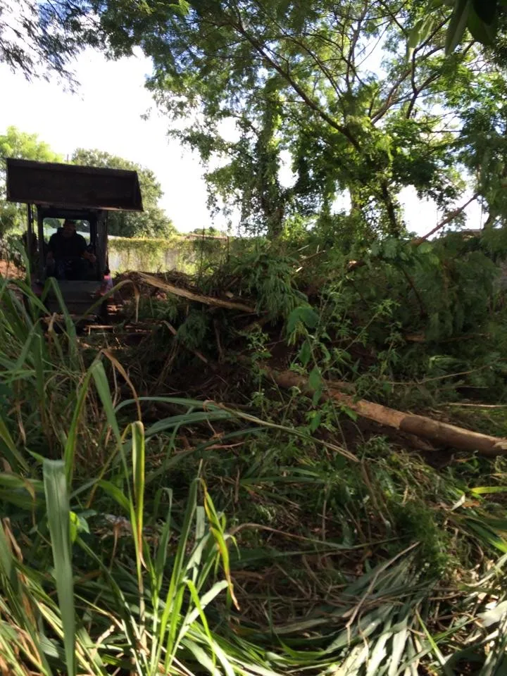 Affordable landscaping services experts serving North Fort Myers, FL - Southern Landscaping